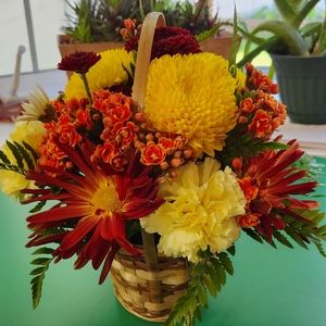 Meet your Posher, Kelly's